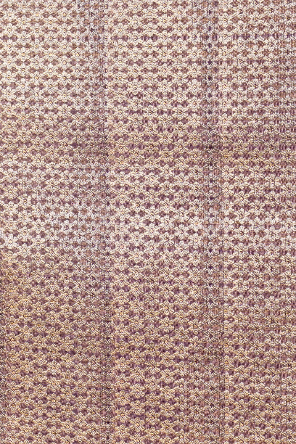 Image of Kanchipattu Tissue Brocade Purple Saree